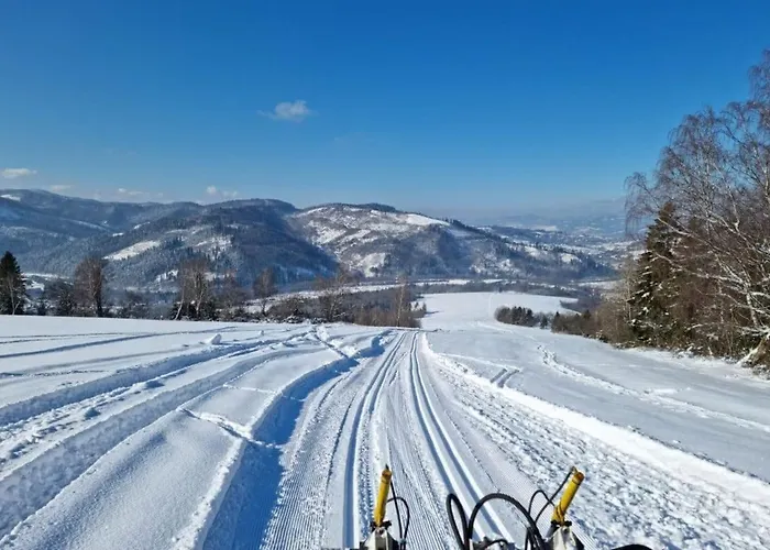 Matias - Oscadnica Centrum *