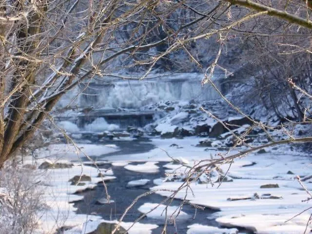 Matias - Oscadnica Centrum